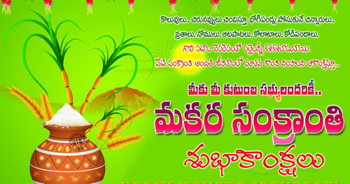 Telugu Makara sankranthi greetings wallpapers in telugu free download brainyteluguqutoes.jpg