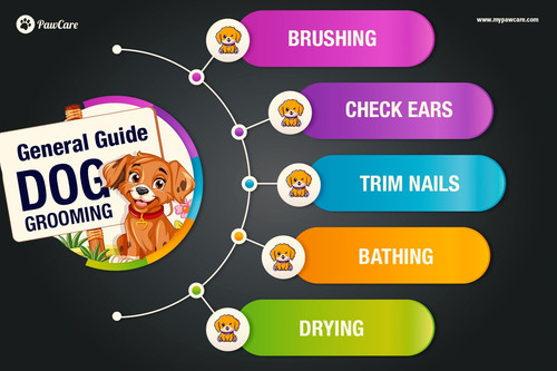 General Guide To Dog Grooming.jpg