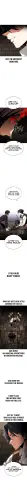 08.webp