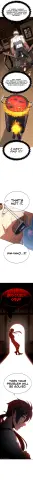 12.webp