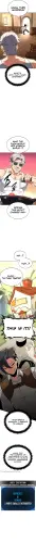 13.webp