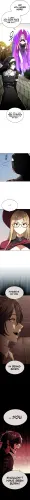 15.webp