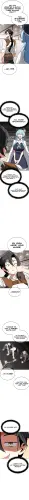 15.webp