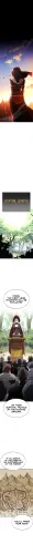 16.webp