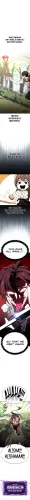 20.webp