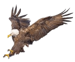 2269c685 af98 47bf 8cd0 73fdefa77492.png