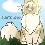 swiftshadow