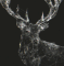 phpCrqFQ6.gif