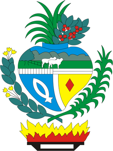 Brasao Goias.png