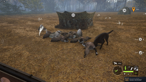 goose.png