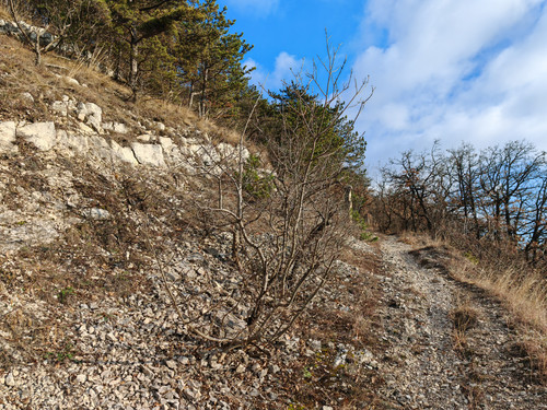 IMG 20240113 133259.jpg