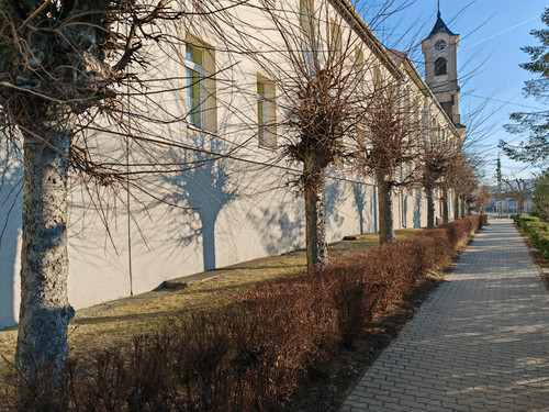 IMG 20240113 143111.jpg