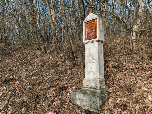 IMG 20240113 134338.jpg