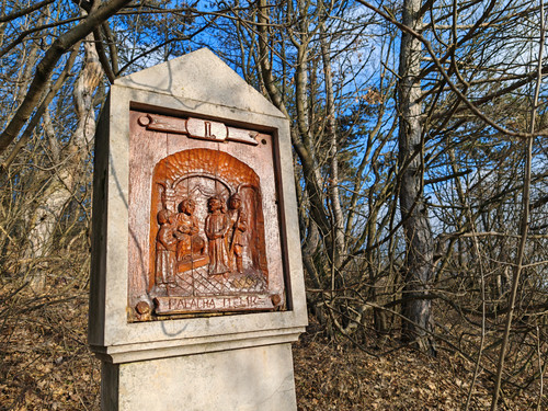 IMG 20240113 134407.jpg