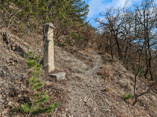 IMG 20240113 133459.jpg