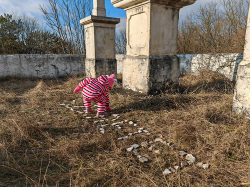 IMG 20240113 135256.jpg