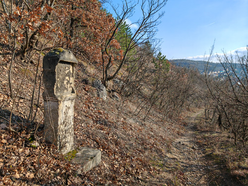 IMG 20240113 132225.jpg