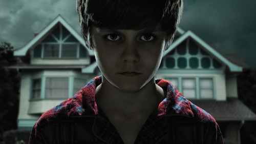 cropped 3840 2160 804804.jpg