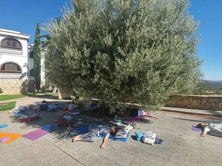 yoga teacher training course book yoga life retreats.jpg