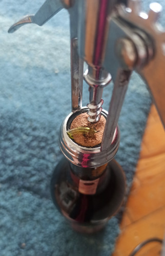 IMG 20240118 151518.jpg