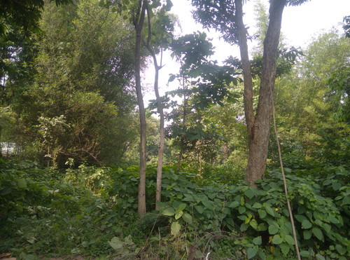 IMG 20230901 143302.jpg