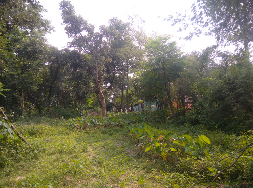 IMG 20230901 143254.jpg