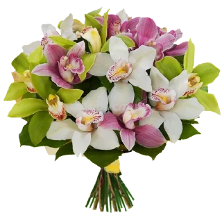 1705578858 336946635.webp