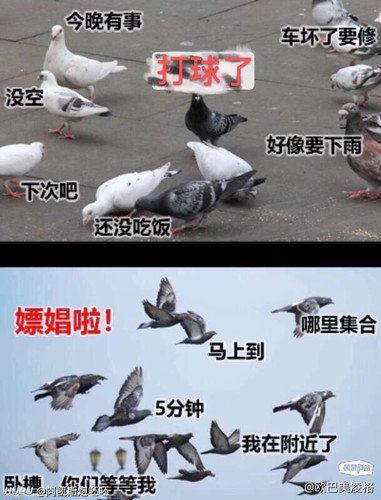 thread 0 20220907235950 s 106552 o w 610 h 800 75297.jpg