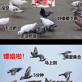 thread 0 20220907235950 s 106552 o w 610 h 800 75297