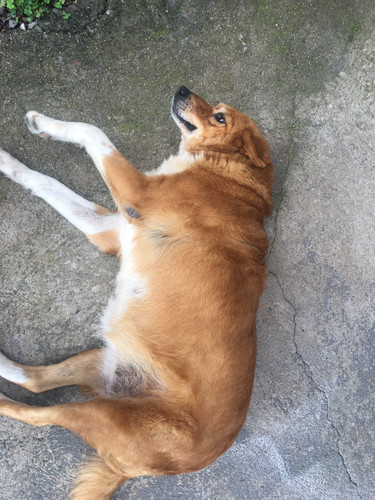 1E49820E 19C1 439C B71A FDA31B8497F0.jpg