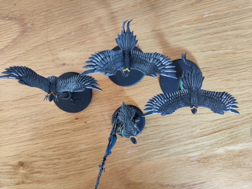 IMG 20240116 124301.jpg