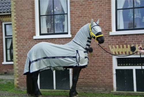 mooie paardendekens 2.jpg