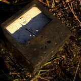 IMG 2236