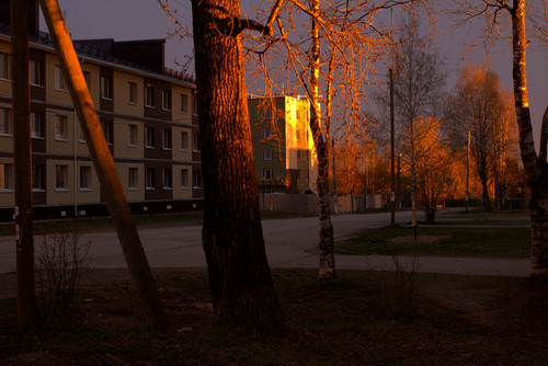 IMG 2233.jpg