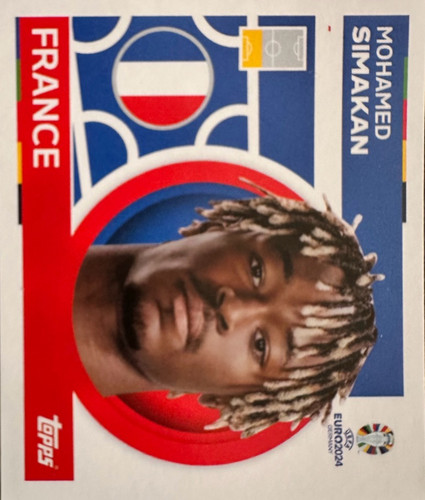466.jpg