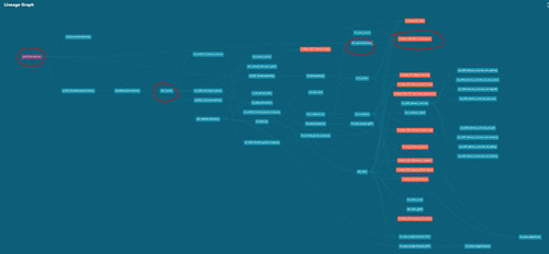 DBT hcm worker full lineage.jpg