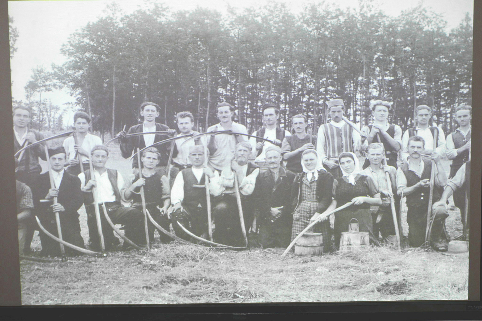 Post examples of specifically Slavic and Germanic looking Serbs