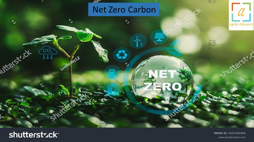 30.5.24 nzcarbon.jpg