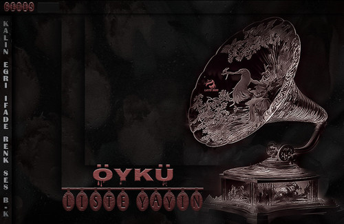 Lady Nur Dj Öykü Liste yayın 1.jpg