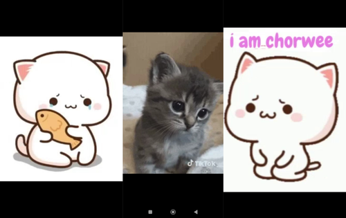 IMG 20240121 055700 imageonline.co merged.jpg.png