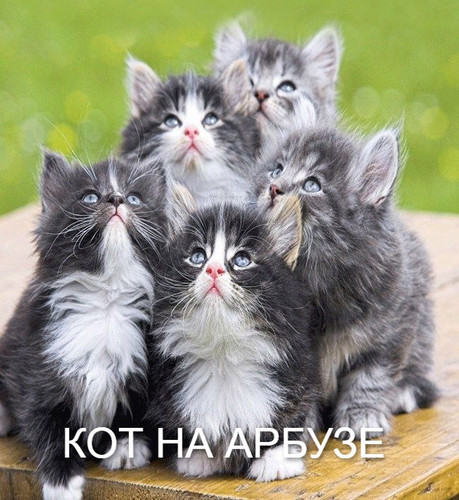 1f693912536c62ca95d4f0026e33c2d6 (1).jpg