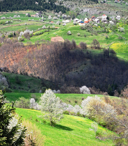 25334 1270491605573 5161827 n.jpg