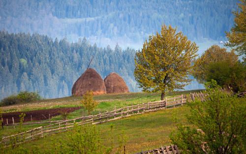 241685 1765143571563 5753345 o.jpg