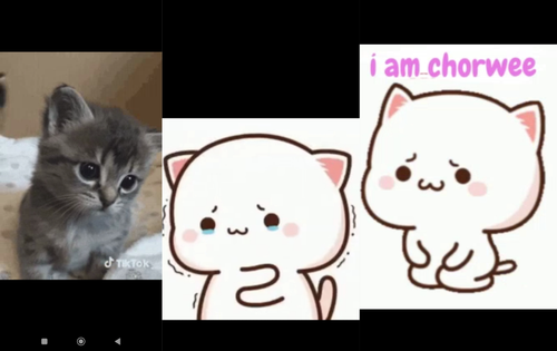 IMG 20240121 055700 imageonline.co merged.jpg.png