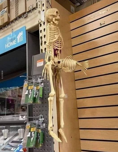 399174434 887694186053343 122170745003866180 n.jpg