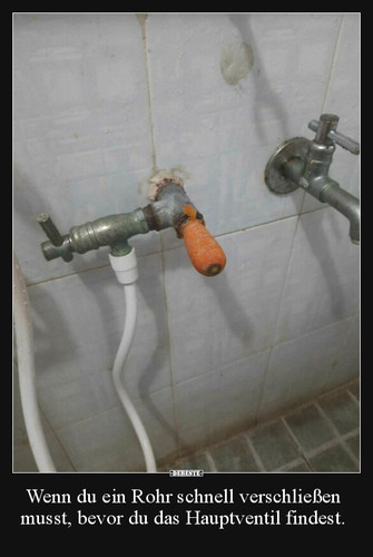 387768960 874086687414093 7798565418260247062 n.jpg