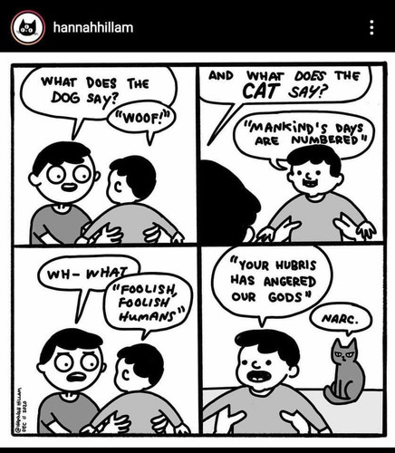 420163967 10228681545175560 1732734117173110666 n.jpg