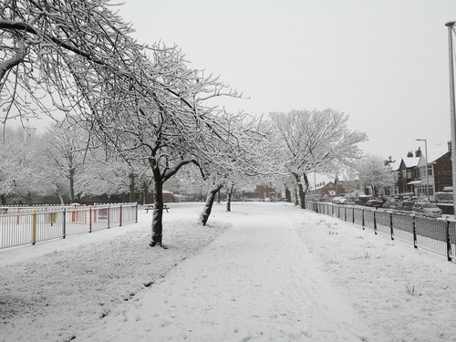 IMG 20190130 101503.jpg