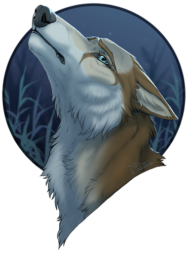 dgqoy20 4a310d26 a658 4015 89a7 4c01b86a316e.png