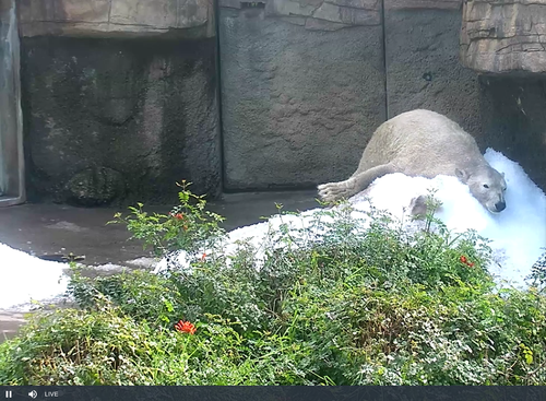 Screenshot 2024 01 17 2.16.50 PM.png